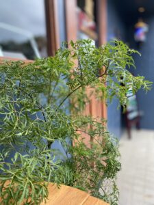 火曜日営業及び予約状況　浦和男性専門美容室MOLGECO (モルジェコ)